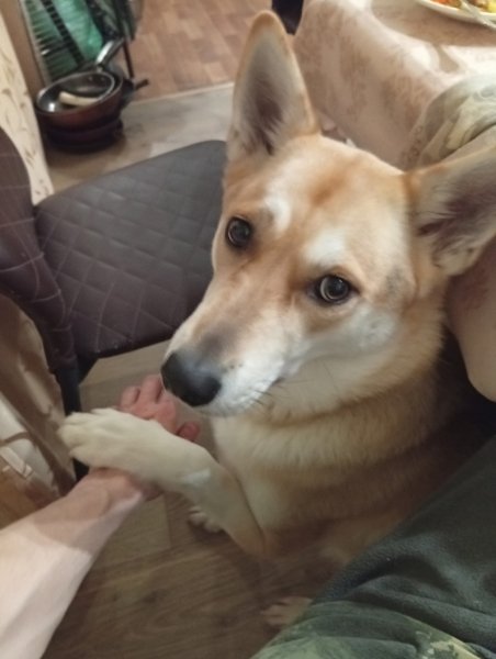 UJYHYGTFRDESEBHMQKH0