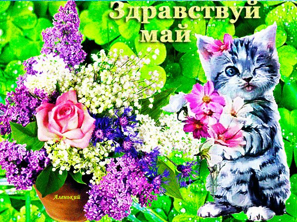 Анимированная открытка здравствуй май