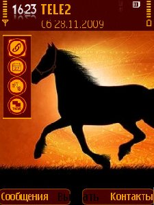 horse-thab flwibw5c