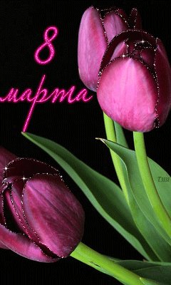 file_28413348