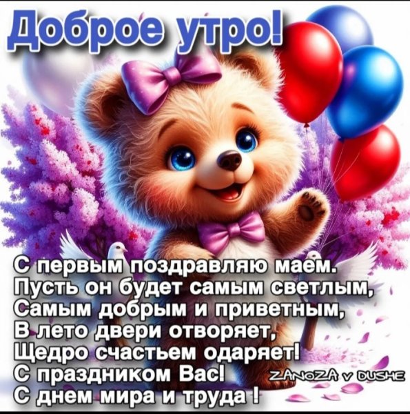 IMG 20260503 000335