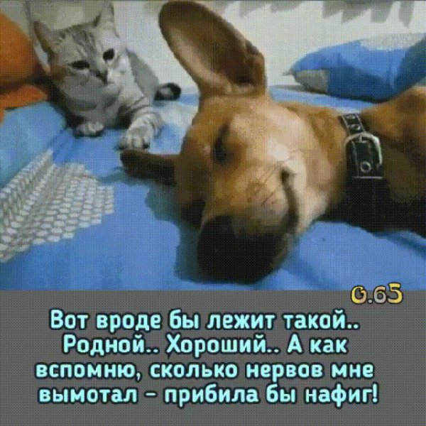 file_75460114