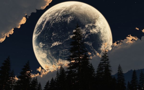 Image from wp-s.ru (4) (1)