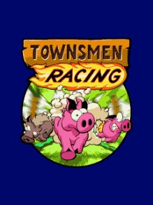 Townsmen Racing RUS Moto 176x220