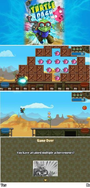 Turtle Dash tiger121