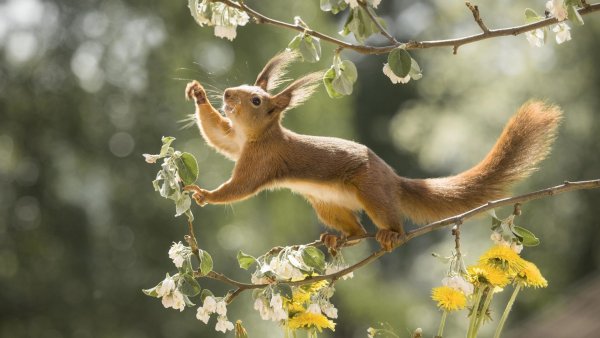 cropped-1920-1080-1003651