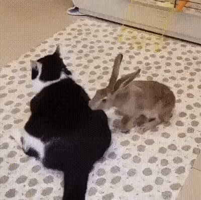 Какой массаж!