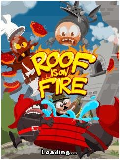 Roof is on Fire 176x208 N70