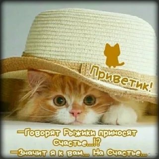 Приветик