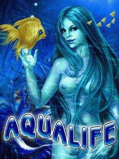 aqua-life-x-kingdom-of-love-240x320
