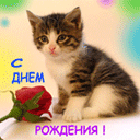 file_2821235