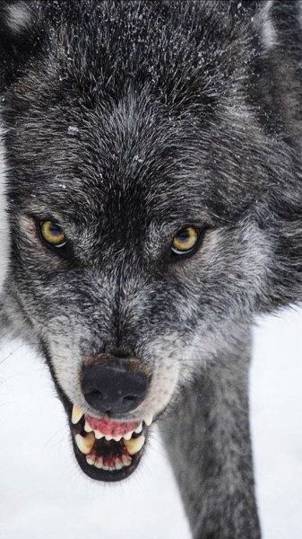 C4493aac86c709a74b685079ba027b05