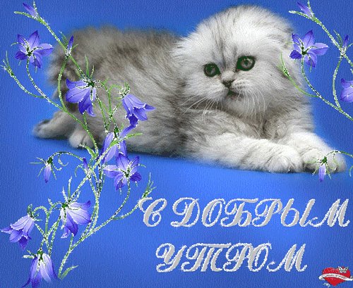 Котя с добрым утром-анимация