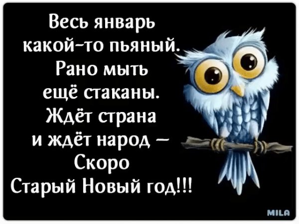 file_80203593