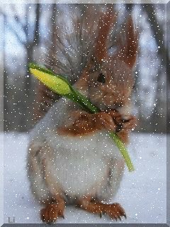 rHSvQy0qvLRJ