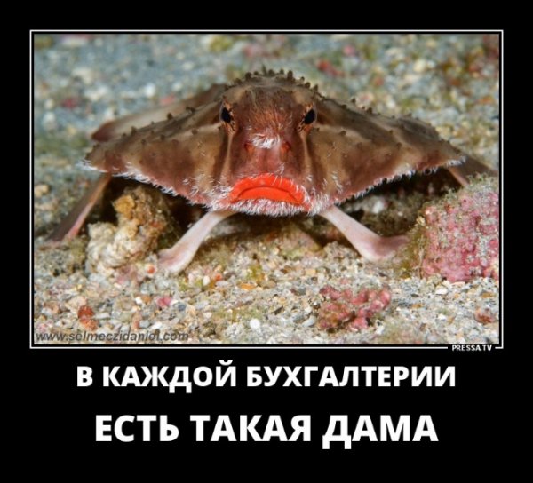 file_77442510