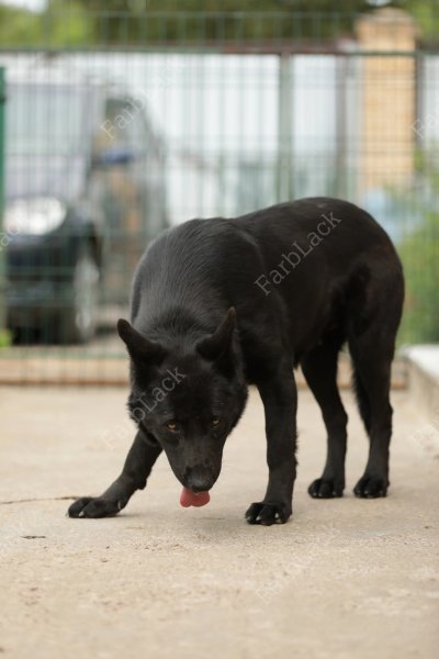 M7WRUUEFHKFXBNVXFGNCXY