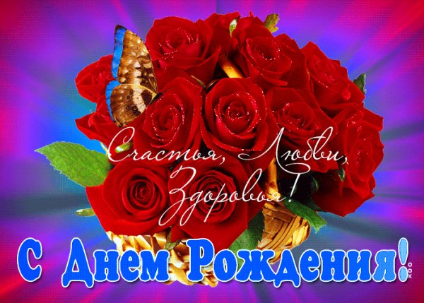 file_81323500