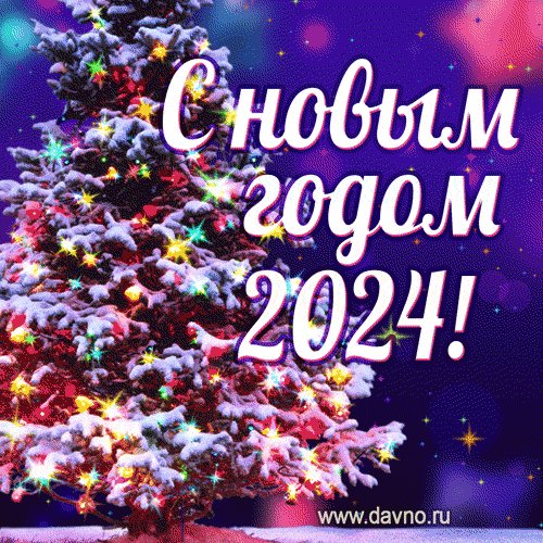 Noviy-god - 2024