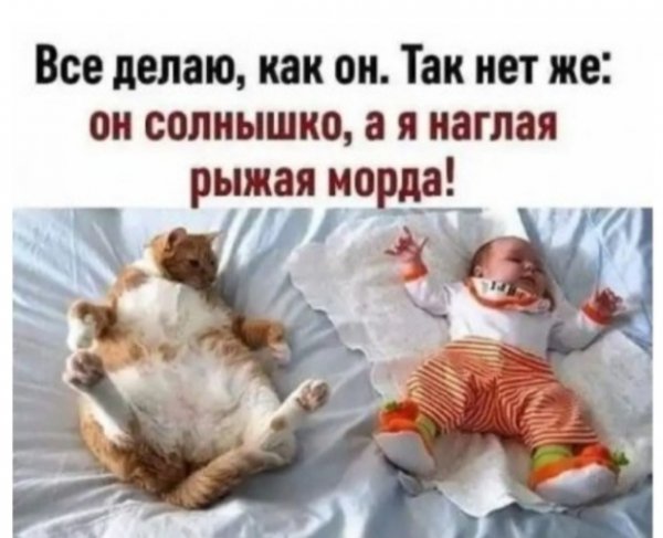 IMG 20200228 220805