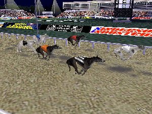 Greyhound Racing Multi