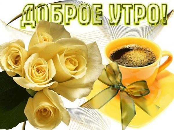 cofhohj2XXk