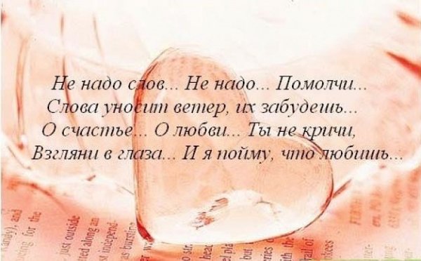 IMG 20160404 122228 90