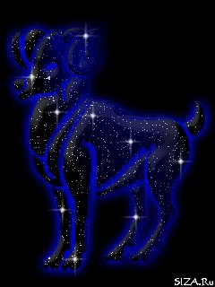 zodiak 0ven