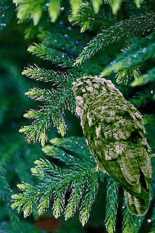 66c6b161f11ecf9d129e1712f4cbaea7