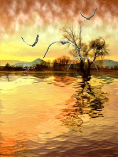 file_62586092