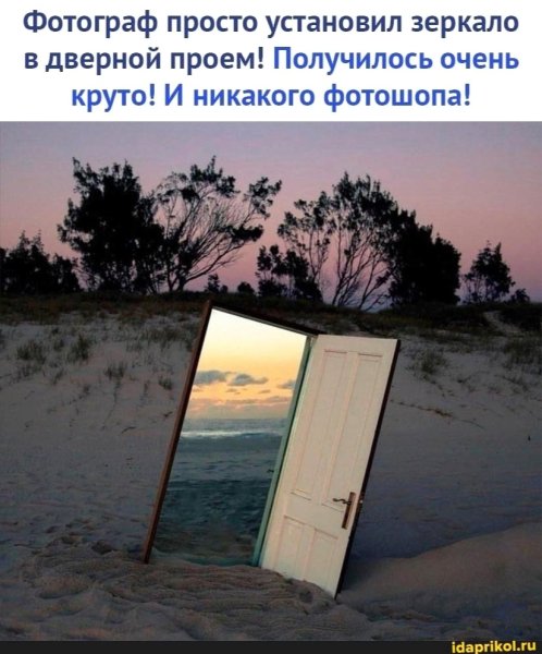 file_101593480