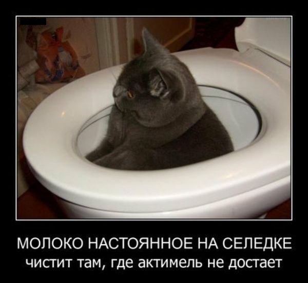 ae13820945807e2952629bc4f 208770 193e