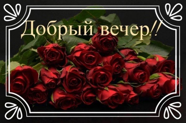 file_94991493