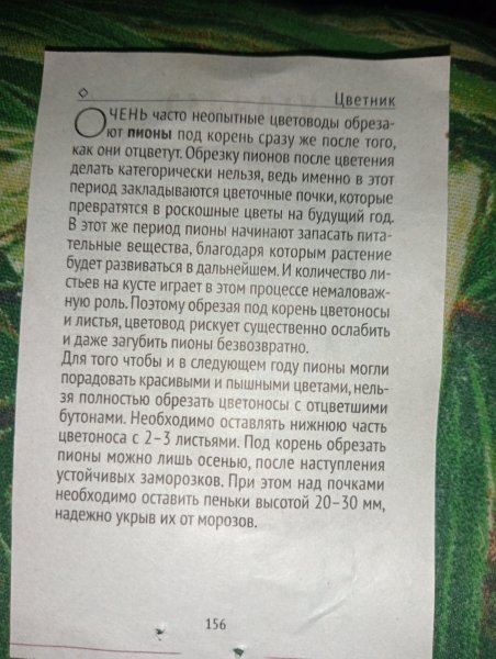 IMG20250603024336