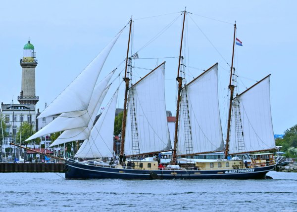IMG viter59 Albert Johannes