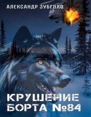 Зубенко Александр Крушение Борта 84 (2025)