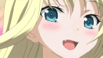 Sena Kashuwazaki