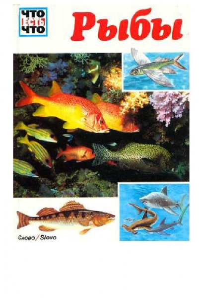 Рыбы