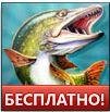 LetsFishRus 123
