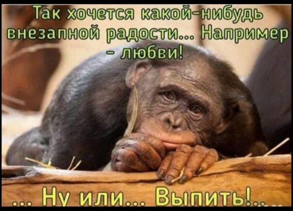 FB IMG 1778784301092