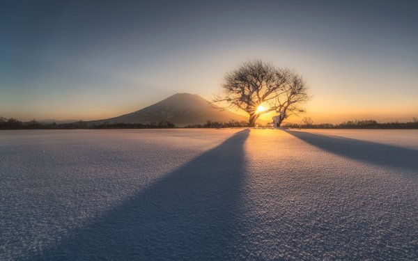 Japanese Landscapes 7
