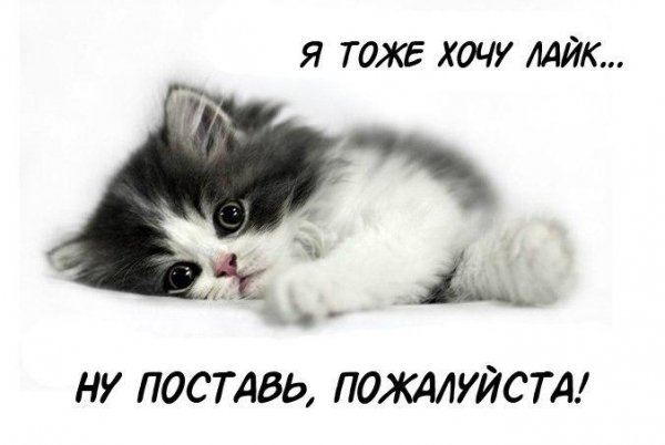 Тутси - Вовочка