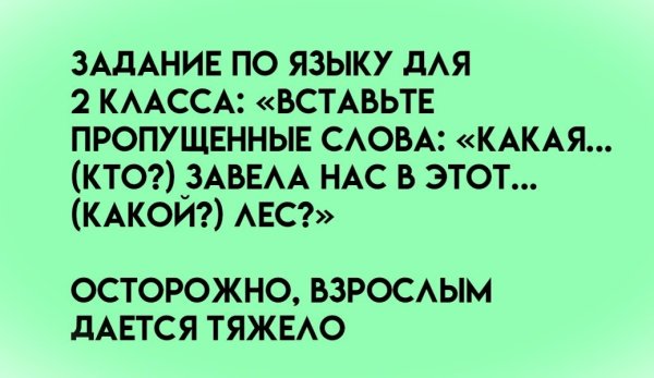 file_101768959