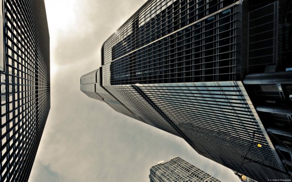 Community Showcase Cityscapes trump building chicago il