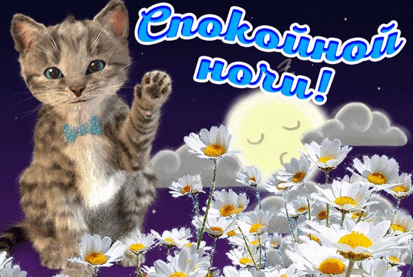 Анимированная открытка спокойной ночи (29)