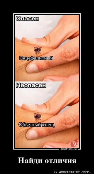 Клещ