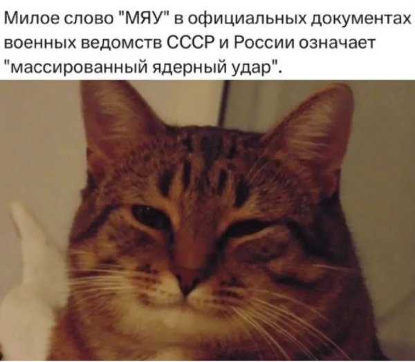 IMG 20260716 213022