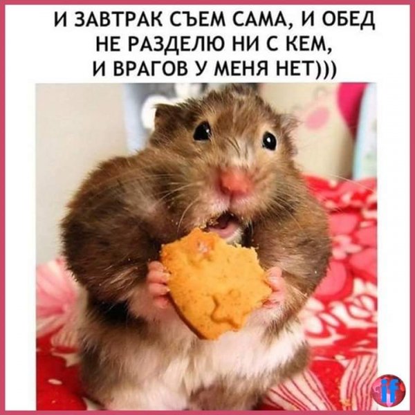 FB IMG 1557090738324