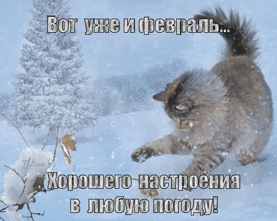 Анимированная открытка вот уже и февраль
