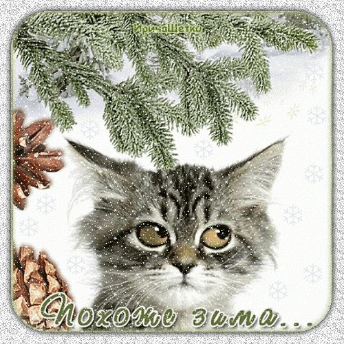 Анимированная открытка похоже зима